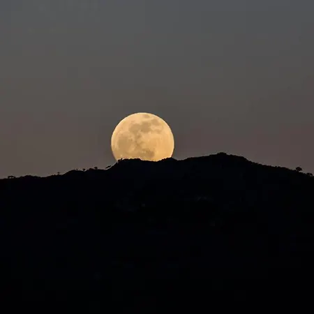 Profilio Διαμέρισμα